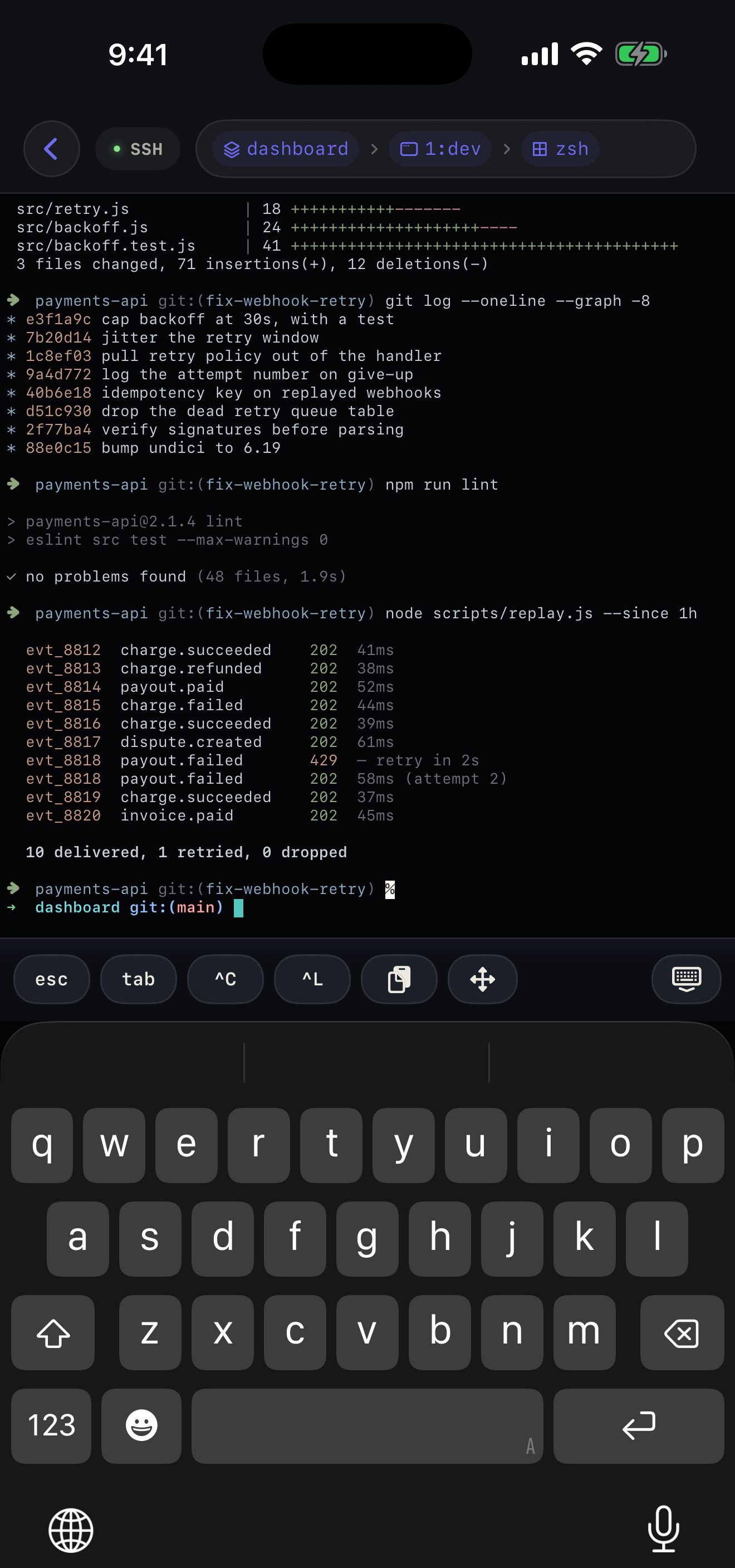 A tmux pane rendering a coloured git log, with the breadcrumb reading payments-api, 1:server, git