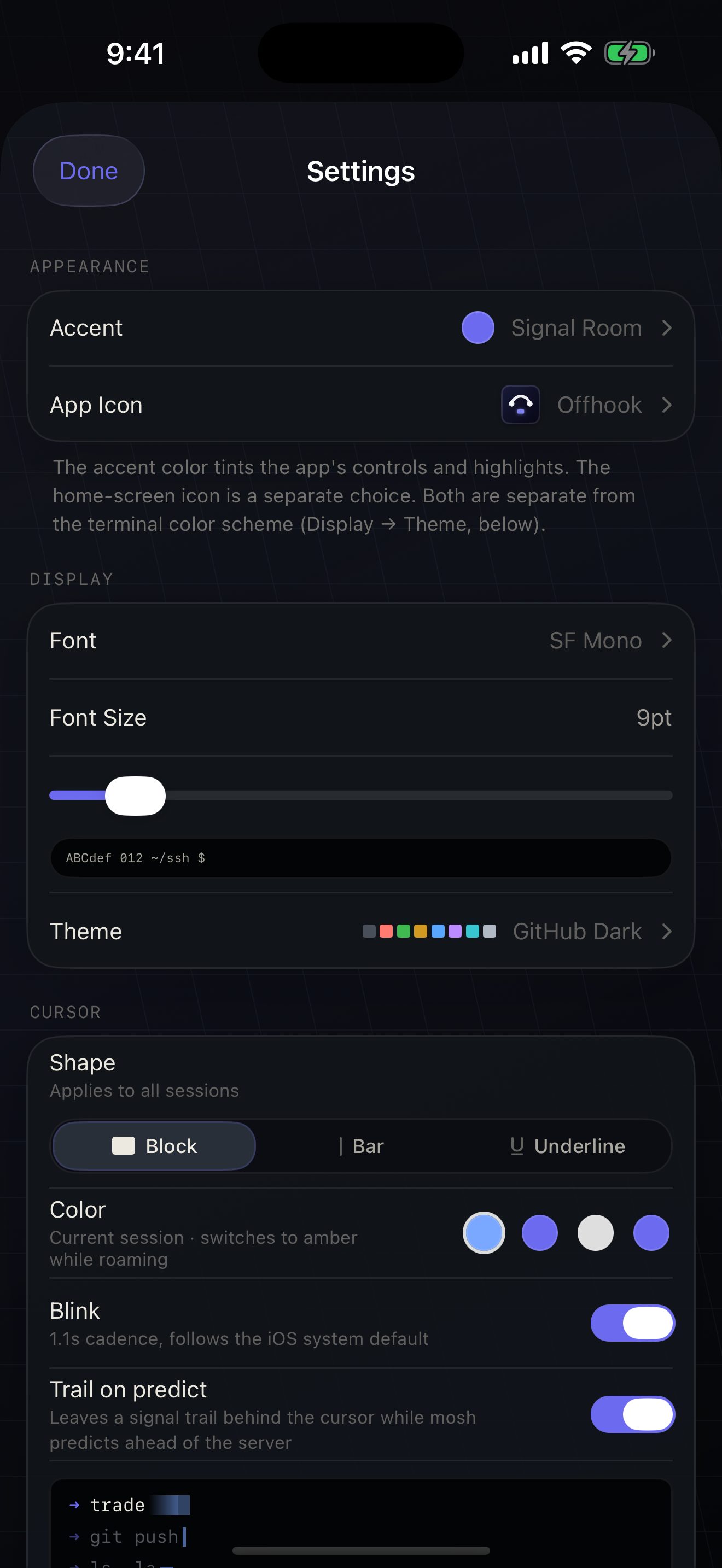 Settings: accent, app icon, terminal font, size and theme