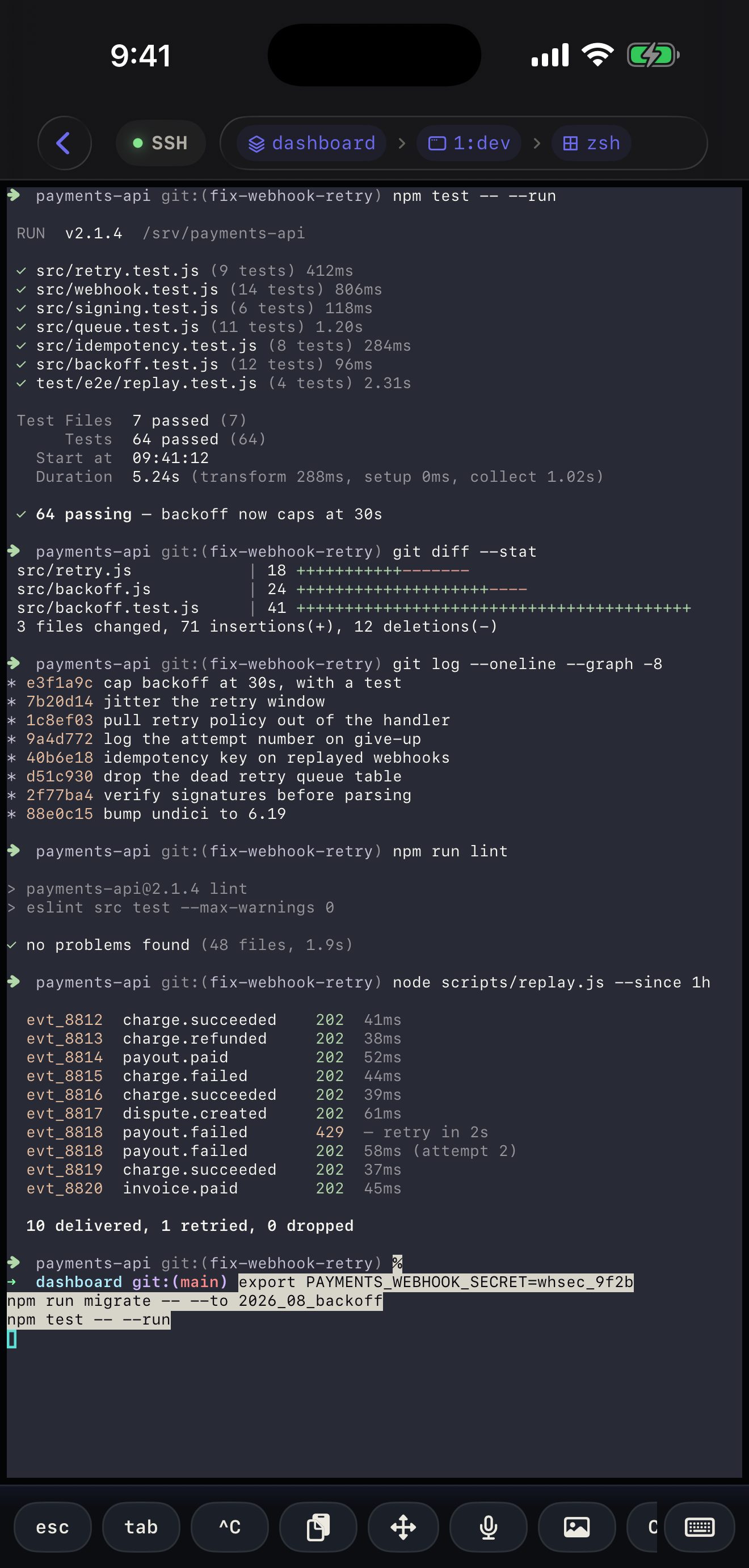 A three-line clipboard paste landing in a plain shell as three complete commands, not fragmented keystrokes